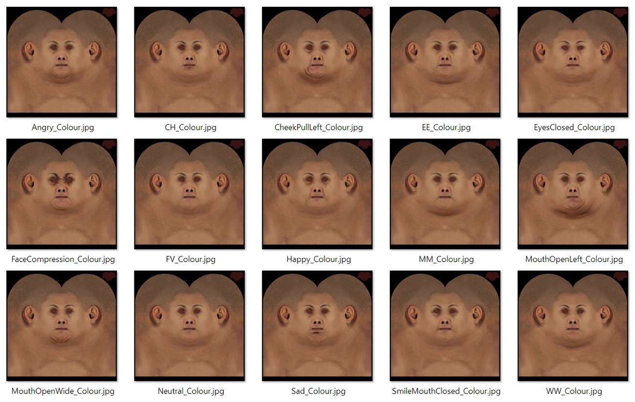 3D face texture maps 